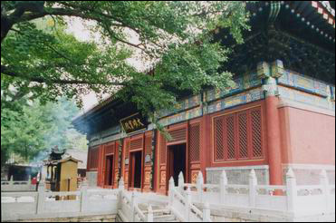 �t�����L���D