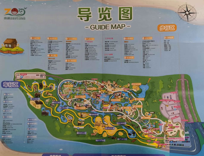 ��ͨɭ��Ұ����(d��ng)��@��(d��o)�ΈD