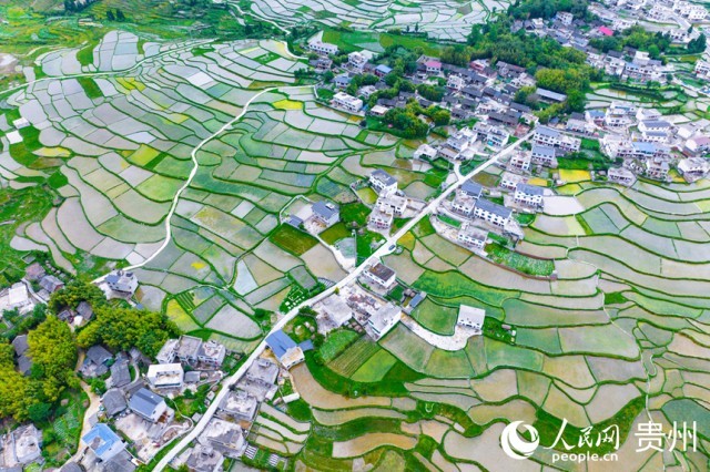 �����F�(y��ng)�л�Ϫ�^(q��)��������������W(w��ng)ӛ�� Ϳ���z